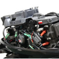 PARSUN F9.9ABMS-EFI PRO в Биробиджане
