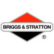 Двигатели Briggs-Stratton в Биробиджане